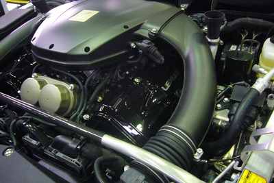lf119.jpg