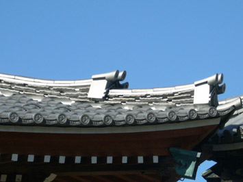 niratsuka.jpg